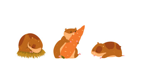 Cute Hamster as Small Pet with Cheek Pouches Sleeping on Grass and Gnawing Carrot Vector Setのイラスト素材