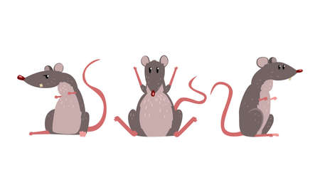 Funny Rat as Long-tailed Rodent Sitting on Hind Legs Vector Setのイラスト素材