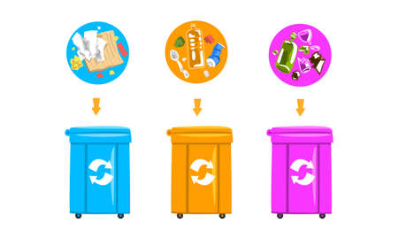 Waste Sorting and Litter Recycling with Dustbin with Different Trash Vector Setのイラスト素材