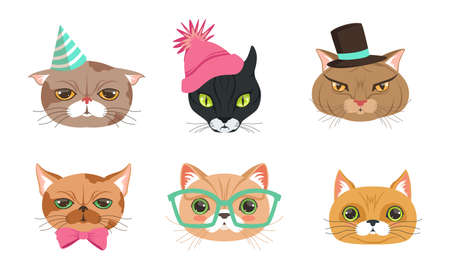 Different Cat Muzzle and Heads with Whiskers Vector Setのイラスト素材