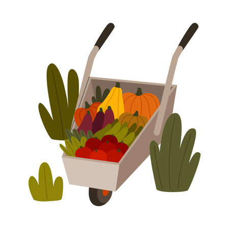 Ripe Vegetables in Wheelbarrow as Seasonal Harvesting and Yield Vector Illustrationのイラスト素材