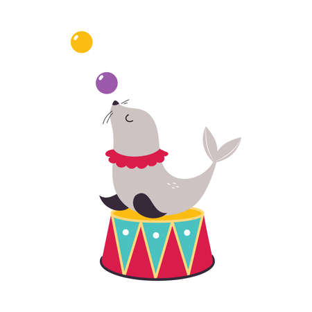 Circus Sea Calf Animal on Drum Juggling Balls Performing Trick Vector Illustrationのイラスト素材