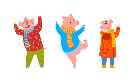 Set of Cute Funny Pig Characters Dressed Warm Bright Clothes Having Fun Cartoon Vector Illustrationのイラスト素材