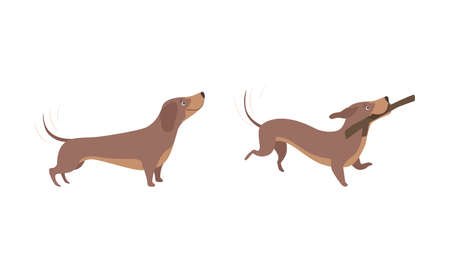 Cute Brown Dachshund Dog Activity Set, Adorable Funny Pet Animal Cartoon Vector Illustrationのイラスト素材