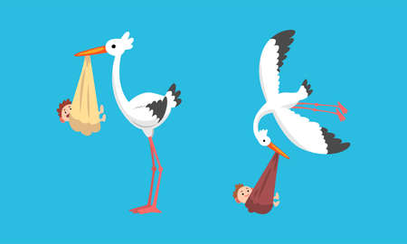 Set of Storks Carrying Newborn Babies, Stork Bird Stork Delivering Baby Vector Illustrationのイラスト素材