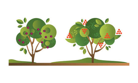 Set of Fruit Trees with Ripe Fruits, Cherry Orchard Tree Flat Vector Illustrationのイラスト素材