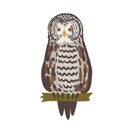 Owl Specie as Nocturnal Bird of Prey with Hawk-like Beak and Forward-facing Eyes Perching on Tree Branch Vector Illustrationのイラスト素材