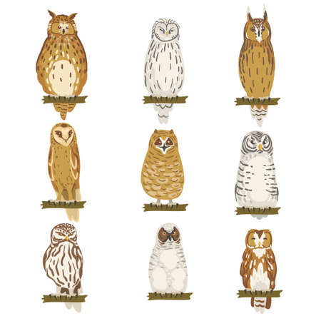 Different Specie of Owl as Nocturnal Bird of Prey with Hawk-like Beak and Forward-facing Eyes Perching on Tree Branch Vector Setのイラスト素材