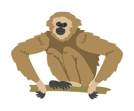 Gibbon Monkey as Arboreal Herbivorous Ape Sitting on Tree Branch Vector Illustrationのイラスト素材