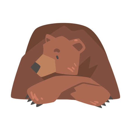 Brown Bear Lying with his Paw under his Head, Large Wild Predator Mammal Animal Cartoon Vector Illustrationのイラスト素材