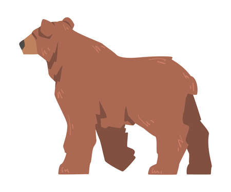 Large Brown Bear, Wild Predator Mammal Animal Cartoon Vector Illustration