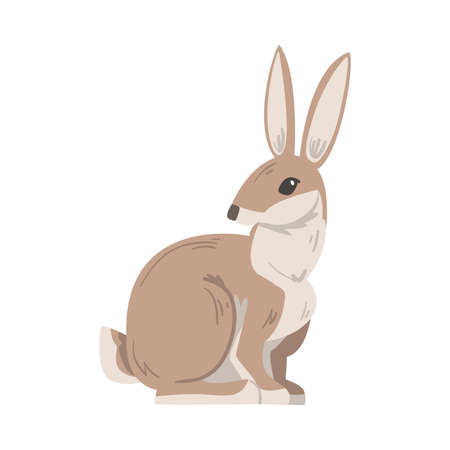 Sitting Hare or Jackrabbit as Swift Animal with Long Ears and Grayish Brown Coat Vector Illustration. Lepus or Rabbit as Fast Running and Leaping Woodland Mammal Conceptのイラスト素材