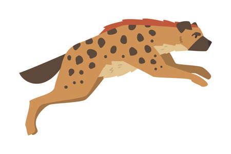 Hyena as Carnivore Mammal with Spotted Coat and Rounded Ears Running Vector Illustrationのイラスト素材
