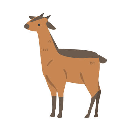 Cute Canna African Animal, Antelope Wild Herbivore Jungle Animal Cartoon Vector Illustrationのイラスト素材