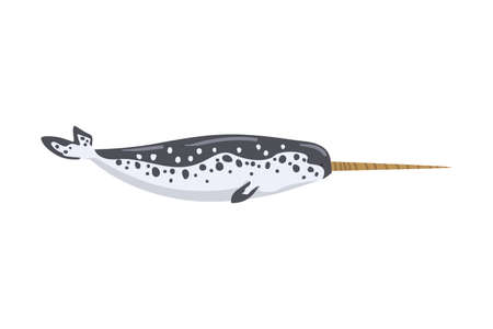 Narwhal Sea Arctic Animal, Wild Polar Marine Mammal Cartoon Vector Illustrationのイラスト素材