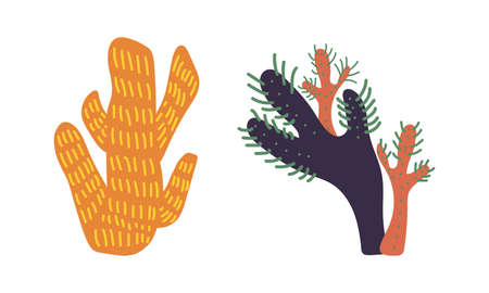 Seaweeds or Plants and Aquatic Marine Algae Growing on the Ocean Bottom Vector Setのイラスト素材