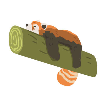 Cute Red Panda Sleeping on Bamboo Branch, Adorable Wild Animal Cartoon Vector Illustrationのイラスト素材