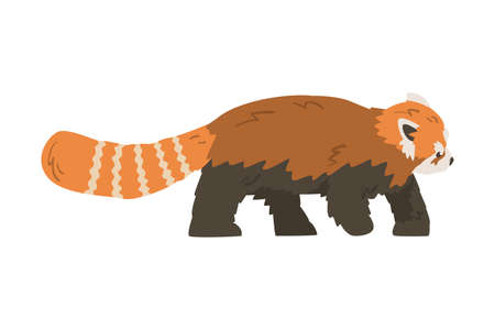 Cute Red Panda, Side View of Adorable Wild Animal Cartoon Vector Illustrationのイラスト素材