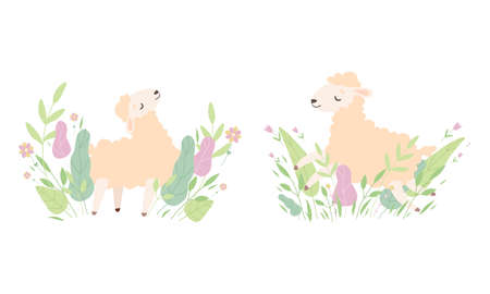 Cute Sheep in Meadow Flowers Set, Adorable Little Fluffy Lamb Farm Animal Playing on Nature Cartoon Vector Illustrationのイラスト素材