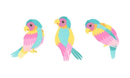 Beautiful Colorful Parrots Set, Exotic Tropical Birds Cartoon Vector Illustrationのイラスト素材