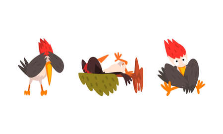 Funny Woodpecker Bird Character Set, Comic Woodland Woodpecker Bird Cartoon Vector Illustrationのイラスト素材