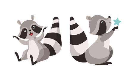 Funny Raccoon Animal Character with Striped Tail Sitting with Star Vector Setのイラスト素材