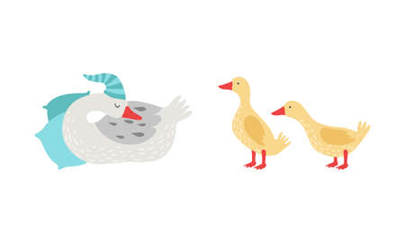 Grey Goose Character in Night Cap on Pillow and Gosling Vector Setのイラスト素材