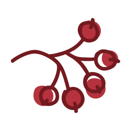 Red Rowan Berries Hanging on Branch as Autumn Foliage Vector Illustrationのイラスト素材