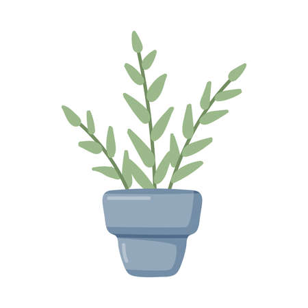 Home Plant in Pot as House Interior Decorative Object Vector Illustrationのイラスト素材