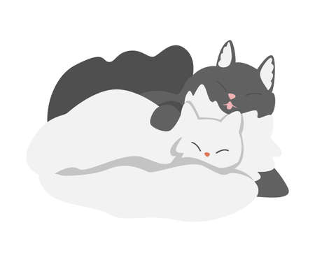 Couple of Fluffy Cats in Love Cuddling Vector Illustrationのイラスト素材