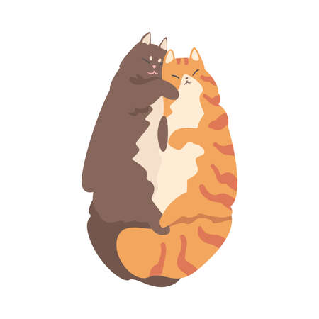 Couple of Fluffy Cats in Love Cuddling Vector Illustrationのイラスト素材