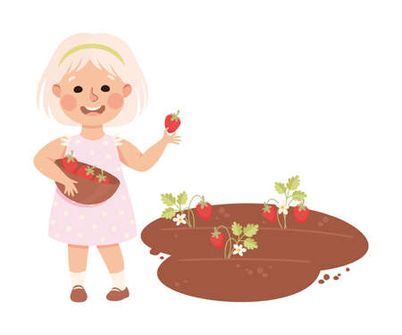 Little Blond Girl in Her Childhood Picking Strawberries from Garden Bed Vector Illustrationのイラスト素材