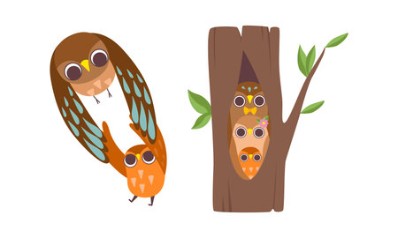 Happy Owl Family with Father, Mother and Baby Sitting in Tree Hollow and Flying Vector Setのイラスト素材