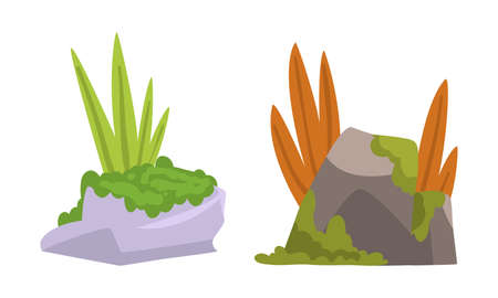 Solid Stone or Boulder Covered with Moss Vector Setのイラスト素材