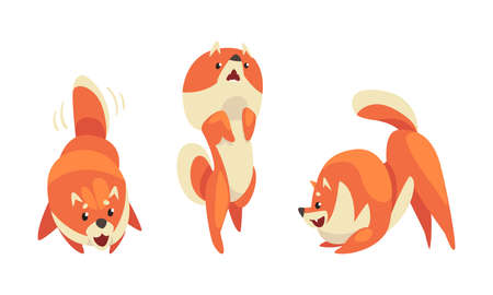 Playful Shiba Inu or Akita Puppy as Japanese Breed Dog with Prick Ears Vector Setのイラスト素材