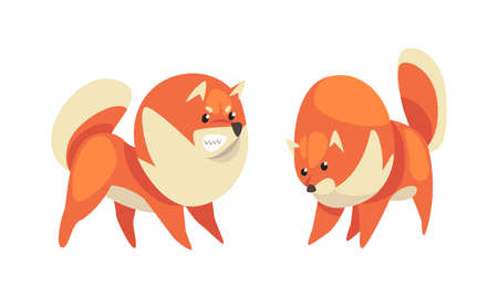 Playful Shiba Inu or Akita Puppy as Japanese Breed Dog with Prick Ears Vector Setのイラスト素材