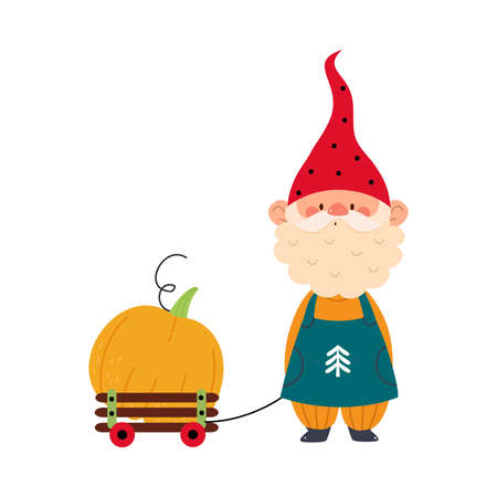Cute Gnome Character with Beard in Pointy Hat with Trolley and Pumpkin Vector Illustrationのイラスト素材