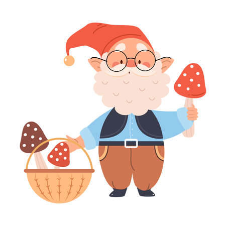 Cute Gnome Character with White Beard in Pointy Hat Picking Mushrooms in Basket Vector Illustrationのイラスト素材