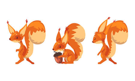 Funny Furry Squirrel Animal with Bushy Tail and Orange Coat Holding Acorn Vector Set