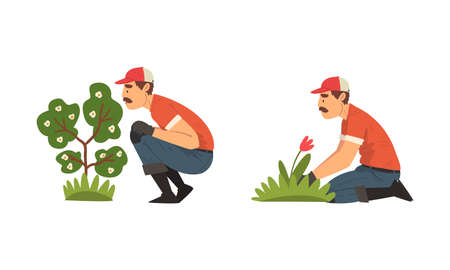 Mustached Man Gardener in Cap and Gloves Working in the Yard Vector Setのイラスト素材