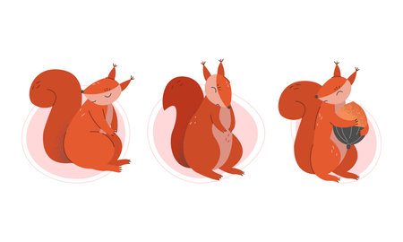 Furry Squirrel Animal with Bushy Tail and Red Coat Vector Setのイラスト素材