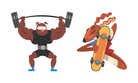 Dog Athlete in Sportswear Lifting Barbell and Skateboarding Vector Setのイラスト素材