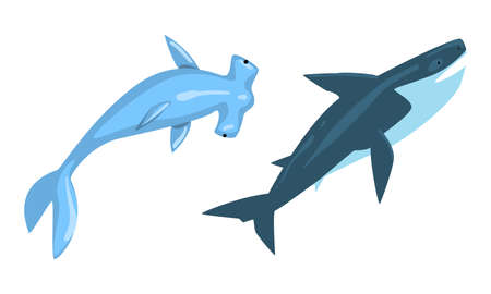 Underwater Animals with Winghead Shark and Whale Vector Setのイラスト素材