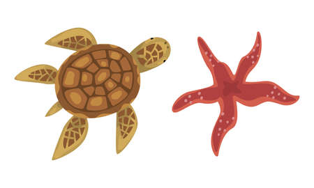 Underwater Animals with Starfish and Turtle Vector Set