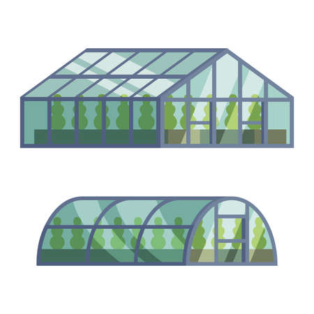 Germination Bed with Agricultural Crops or Vegetables Growing Vector Setのイラスト素材