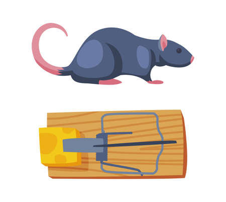 Pest Control with Trap and Cheese for Rat Rodent Vector Setのイラスト素材
