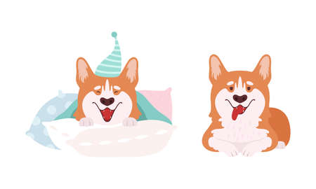 Welsh Corgi with Short Legs and Brown Coat Sticking Out Tongue and Wearing Night Cap Vector Setのイラスト素材