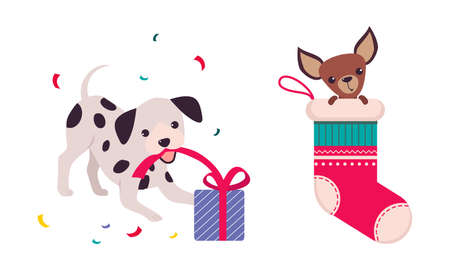 Cute Dogs of Different Breed Playing with Gift Box and Sitting in Christmas Stocking Vector Setのイラスト素材