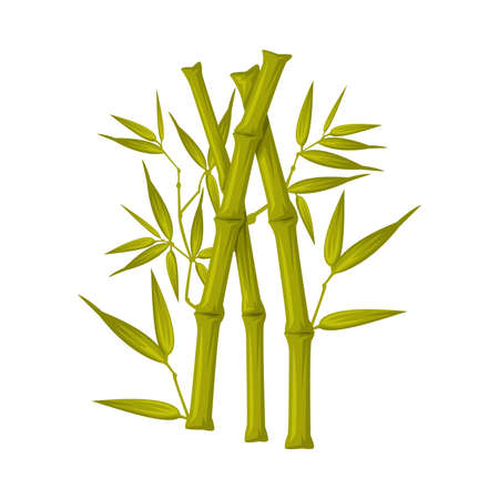 Bamboo Stick as China Object and Traditional Cultural Chinese Symbol Vector Illustrationのイラスト素材