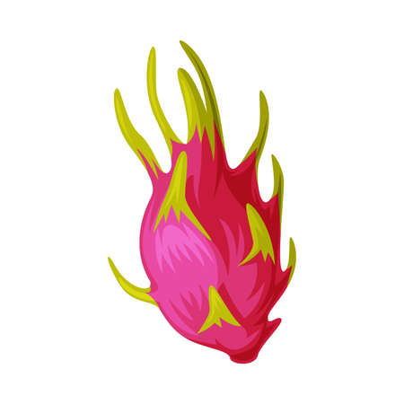 Dragon Fruit as Thailand Symbol and Famous Object Vector Illustrationのイラスト素材